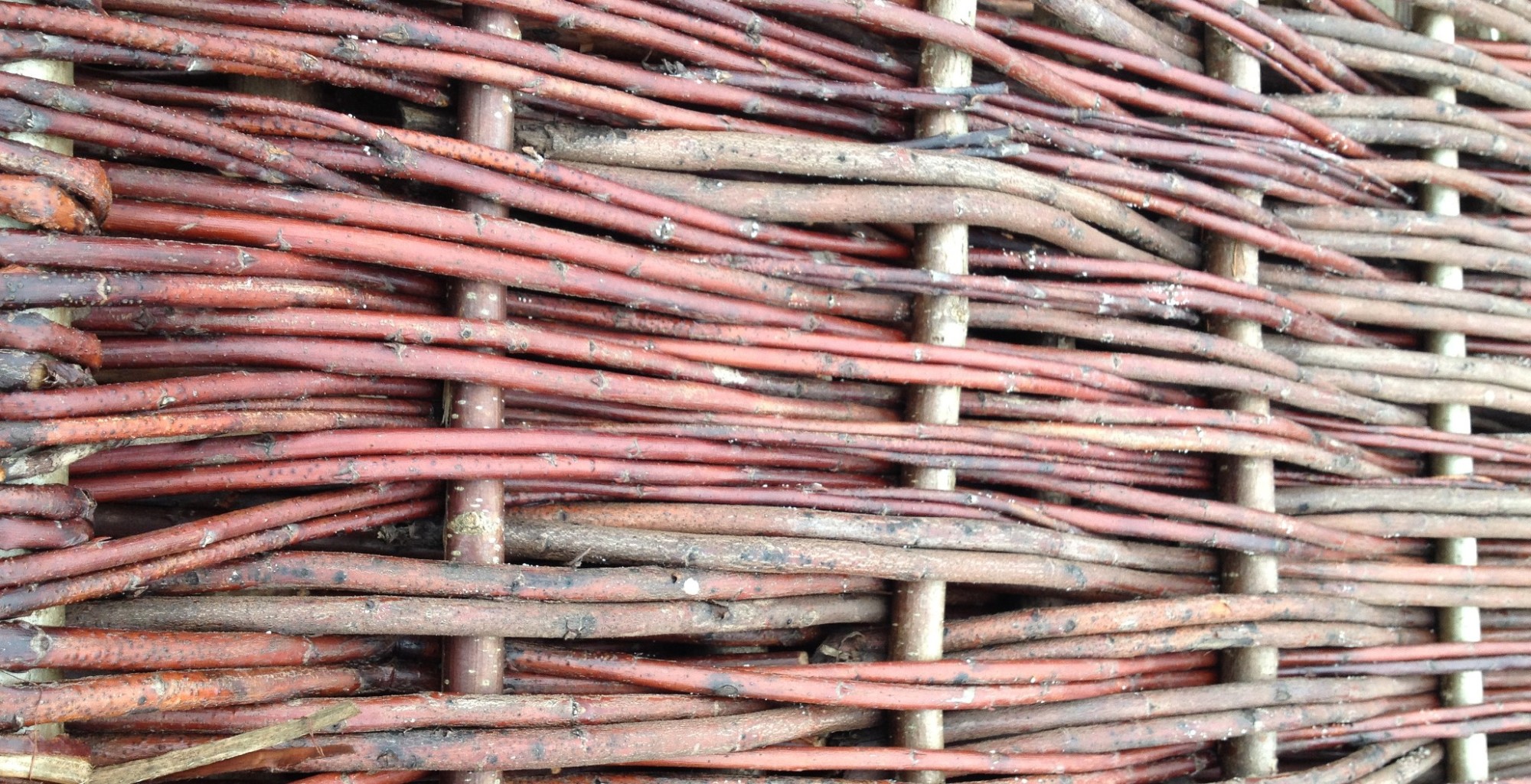 Willow Hurdle Fencing