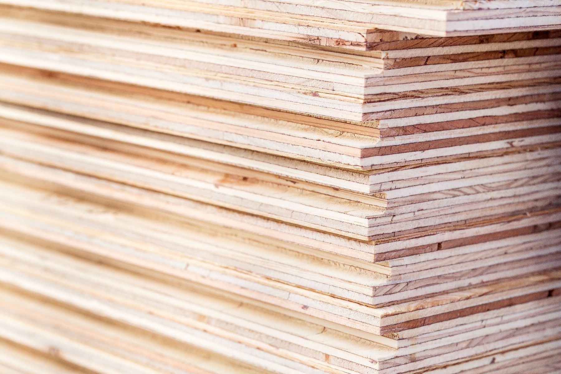 stacks of Plywood